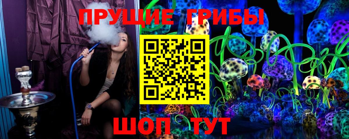 Нижний Новгород  Галлюциногенные грибы прущие грибы  Вход с VPN 