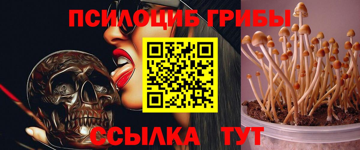 Галлюциногенные грибы GOLDEN TEACHER Нижний Новгород