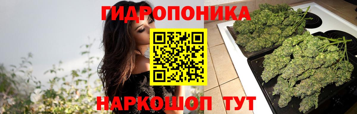 Каннабис Bruce Banner  Конопля THC 21%  Бошки марихуана план  Нижний Новгород  Вход с VPN 